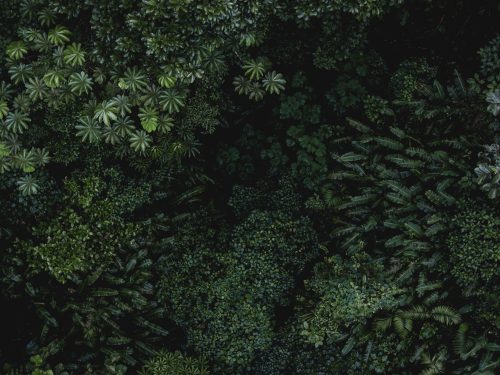 嗨格式数据恢复大师能恢复数据吗