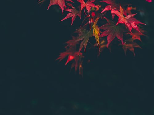 探寻八十年代电风扇长寿之谜，反思现代电器质量困境