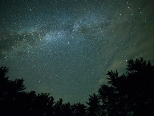 谷歌浏览器启动缓慢？试试这些优化技巧