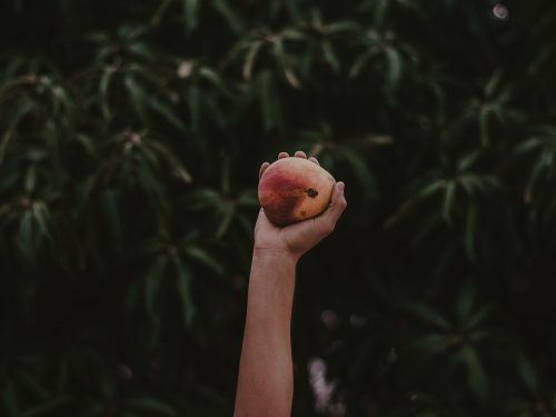 华为nova12系列如何选择？nova12Pro是比较均衡的一个选择？