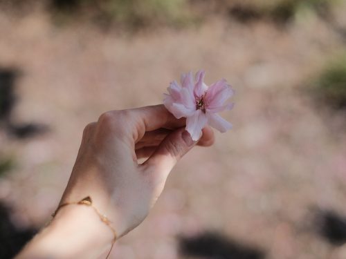 病毒防护之路为何你的杀毒软件无法启动与安装