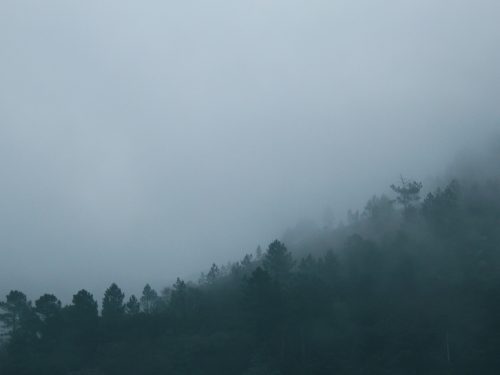Edge浏览器与Bing浏览器有何不同？