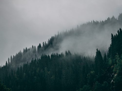 入侵IP地址后使用杀毒软件真的有效吗？
