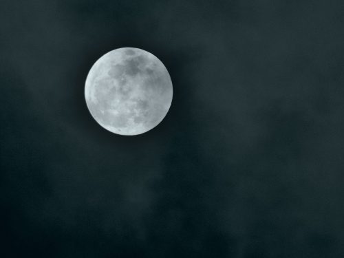 华为nova 12系列哪款更值得入手？一文看懂各版本差距
